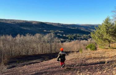 renovatedhot tublake accesspedal boatcozychic - Foto 23