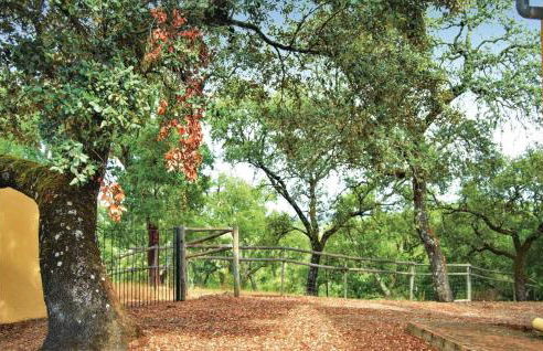 Lovely Home In Cortegana - Foto 10