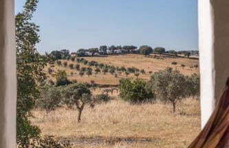 Monte das Acácias - Foto 6