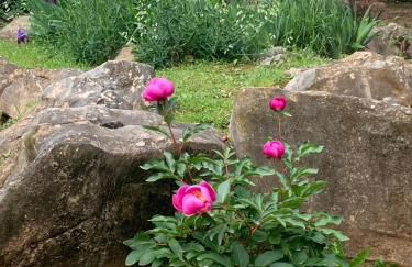 Casas de Almajar - Foto 36