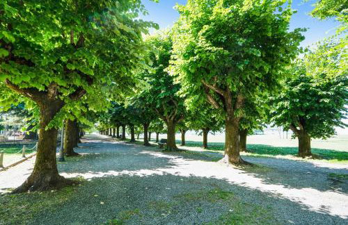 Iris Apartment Lago Maggiore - Foto 22