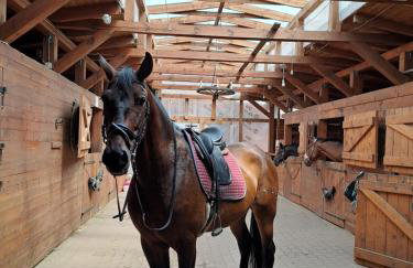 Stajnia Małszewo - Photo 17