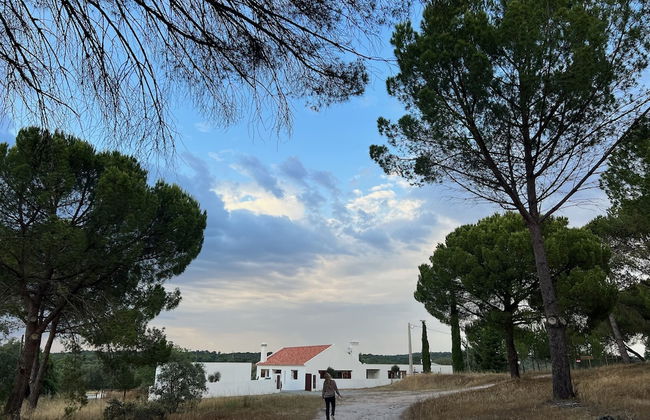 Fazenda do Pomar - Foto 69