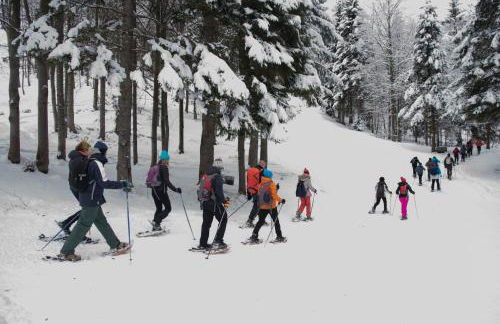 Rifugio Camparient - Foto 36