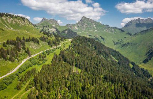 Les Pralyssimes 462 - Foto 20