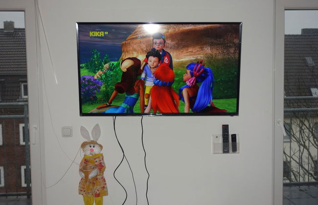 Tolstov-Hotels Big Room Apartment - Foto 15