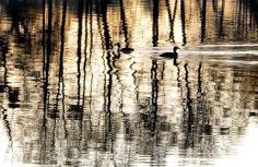 Malanówka 1 - Foto 31