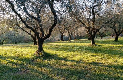 Residence Oliveto Mare Carso - Foto 55