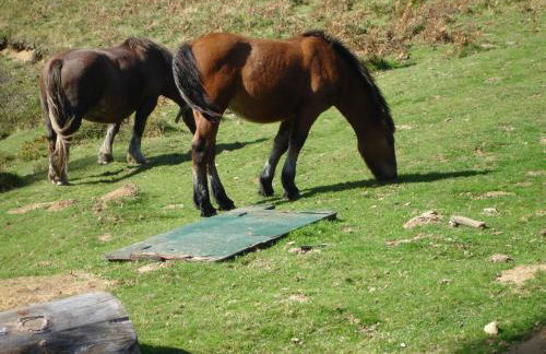 GITE LES 3 EDELWEISS - Maison SEGUITTE - 6 PERSONNES - Foto 29