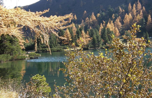 Marei-hutte Comfortable Holiday Residence - Foto 13