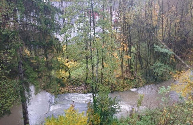 Chalet in Reinskopf With Fireplace and Balcony - Photo 36
