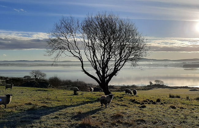 Cherrytreecottage - Cosy 19thcentury/pet Friendly - Foto 31