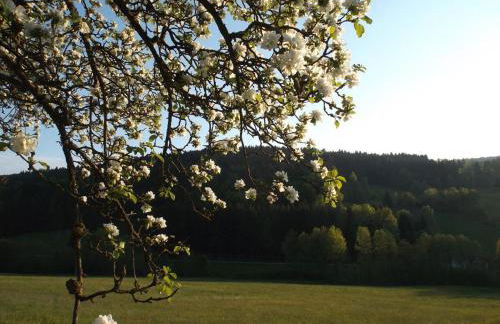 Ferienwohnung Lindenhof - Foto 49