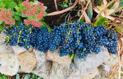 Ferienwohnung Alpensymphonie mit 110 m2 und sonnigem Balkon - Photo 31