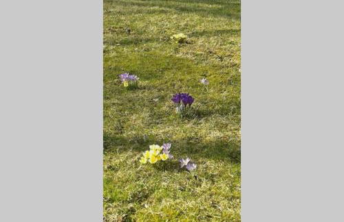 Anna - neue Ferienwohnung mit Blick ins Grüne - Photo 30