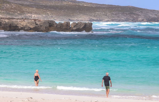 Hanson Bay Wildlife Sanctuary and Cabins - Photo 26