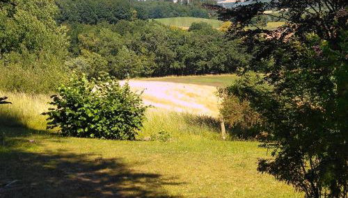 Bungalow am Werratal Radwanderweg - Foto 4