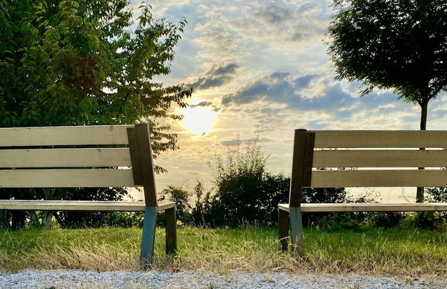 L'intemporel - Foto 54