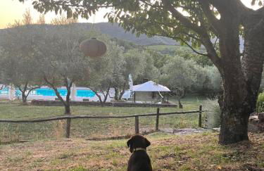 Podere le Muricce - Foto 35