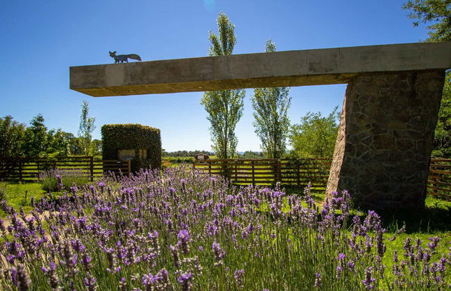 Excursão pelas vinícolas do Valle de Calamuchita - Photo 3