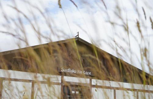 Siedlisko na łące - Foto 2