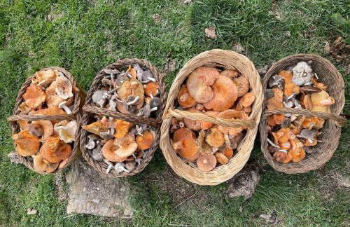 APARTAMENTO EN LA VALL FOSCA - Foto 13