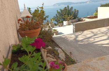 Apartmani NIKA - Photo 38