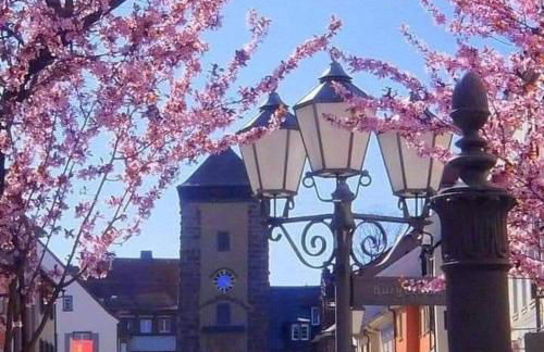 Ferienwohnung Silvia - Foto 44