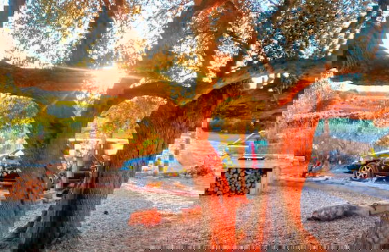 Casa de Rosado - Foto 12