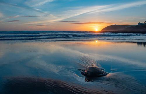 Point View - Award Winning Apartments with Private Hot Tub & Parking - Foto 41