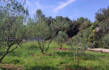 Holiday home Mola - Foto 30