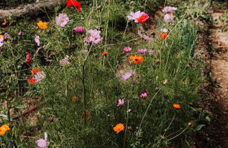 Healing Acres - Foto 33