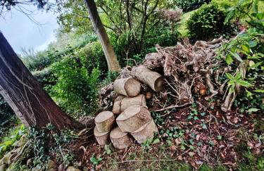 TheWeeHouseOnTheHill - Foto 41