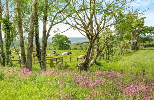 Whitehill Lodge - Uk47194 - Foto 20