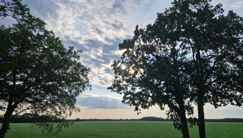 Wohnung 1 - a90070 - Foto 1