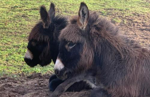 Sandhill House - Photo 6