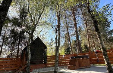 Sękata Chata - drewniany domek z jacuzzi - Foto 19