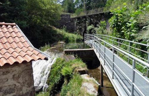 Casa da Caneleira Camélias de Basto - Foto 38