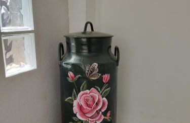 A Chamiseiriña - Foto 11