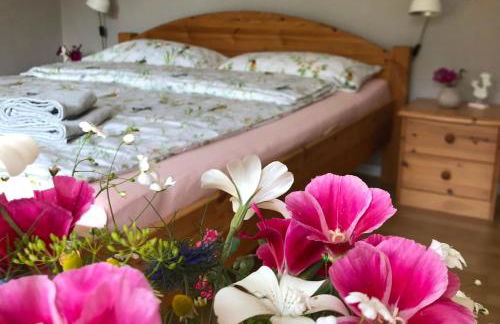 Ferienwohnung Elbsegler - Foto 22