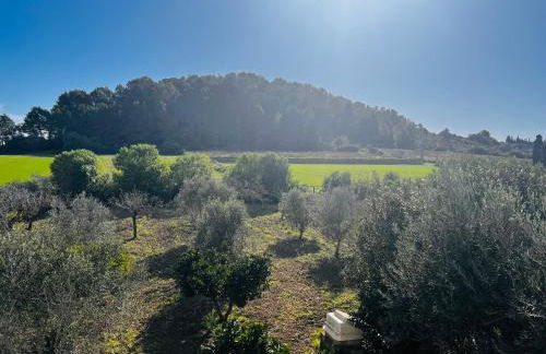 Villa Es Puig, piscina y vistas a la montaña - Foto 51