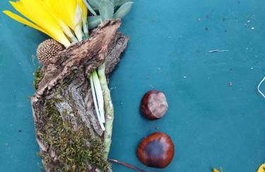 Penelope Elafotopos - Foto 25