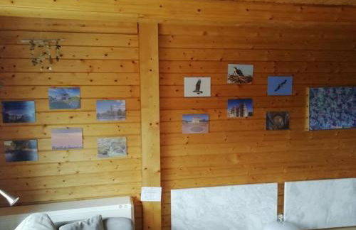 Pongratz Comfortable holiday residence - Foto 10