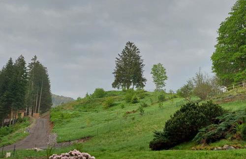 Le Refuge perché du saut de la bourrique, SPA, terrain clôturé, bordure de forêt - Foto 16