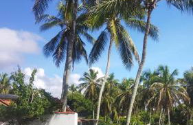 Cabanas Caraúbas - frente para o mar, ar & Tv - Foto 31