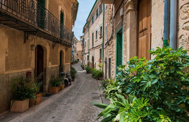 Ca n Mayol Banyeta - Photo 18