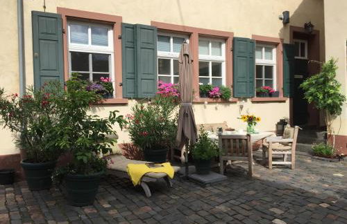 Alte Schule Wachenheim im Zellertal - Foto 14