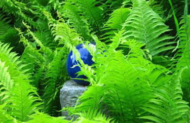 Ferienwohnung Erlkron - Foto 30