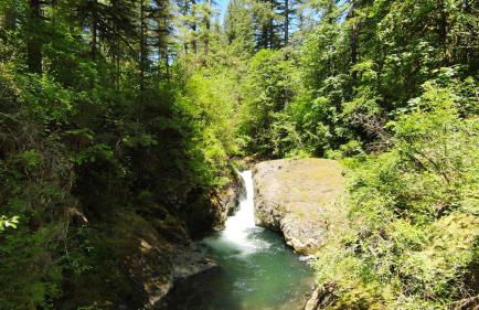 Kanati Falls Ranch - Foto 28