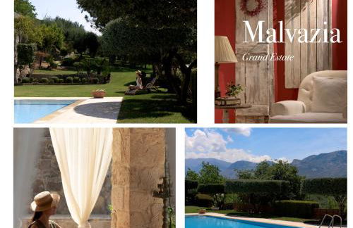 Malvazia Grand Estate, 4acre Immersed in Greenery, By ThinkVilla - Photo 39